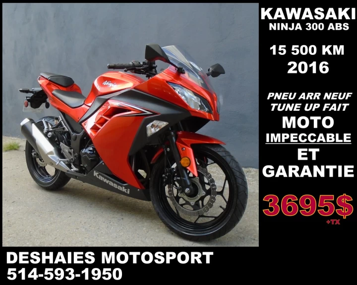2016 Kawasaki Ninja 300 