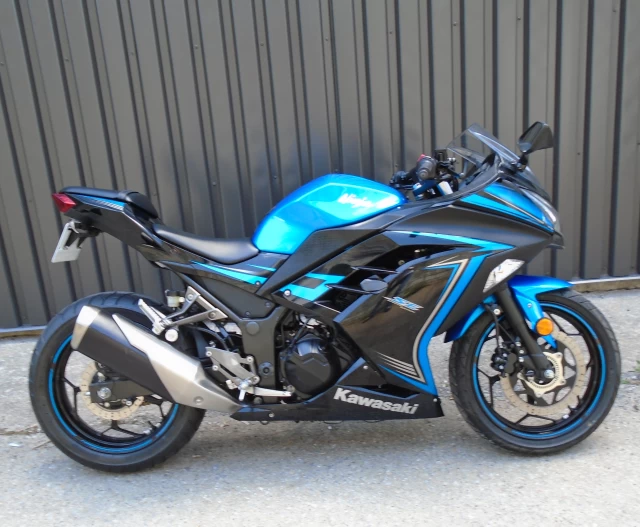 Kawasaki Ninja 300  2015