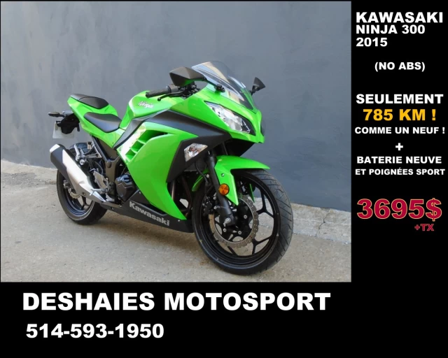 Kawasaki Ninja 300  2015