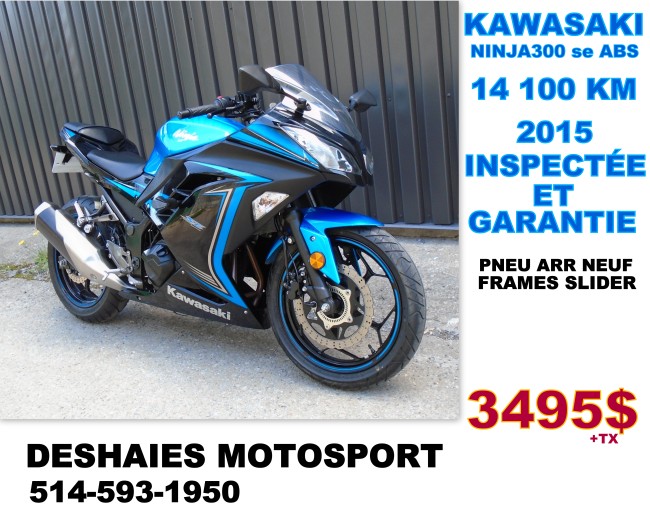 Kawasaki Ninja 300 - 2015